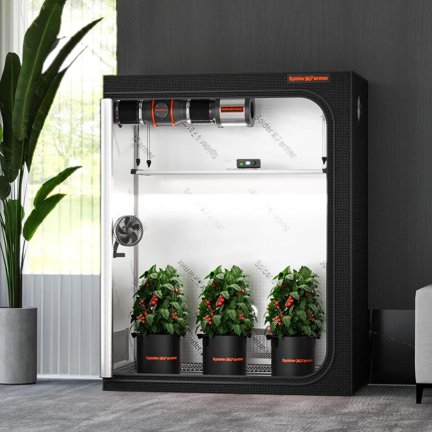Spider Farmer Growzelt 70x140x200cm Growzelt für Indoor Lichtdicht und Wasserdicht Anbauzelt Grow Tent Growschrank für Homegrowing Pflanzenzucht Gewächshaus Indoor Zuchtzelt