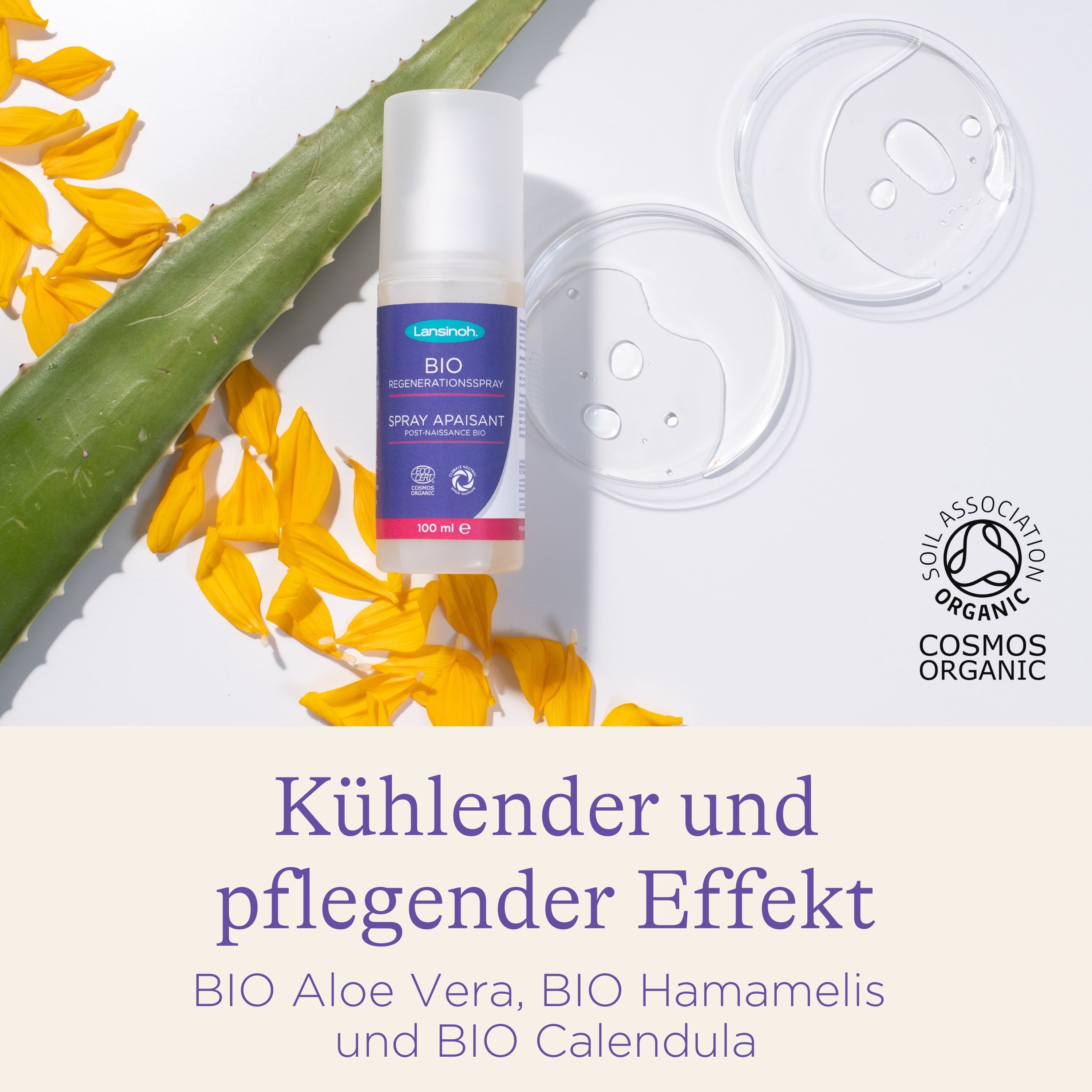 Lansinoh® Bio Regenerationsspray