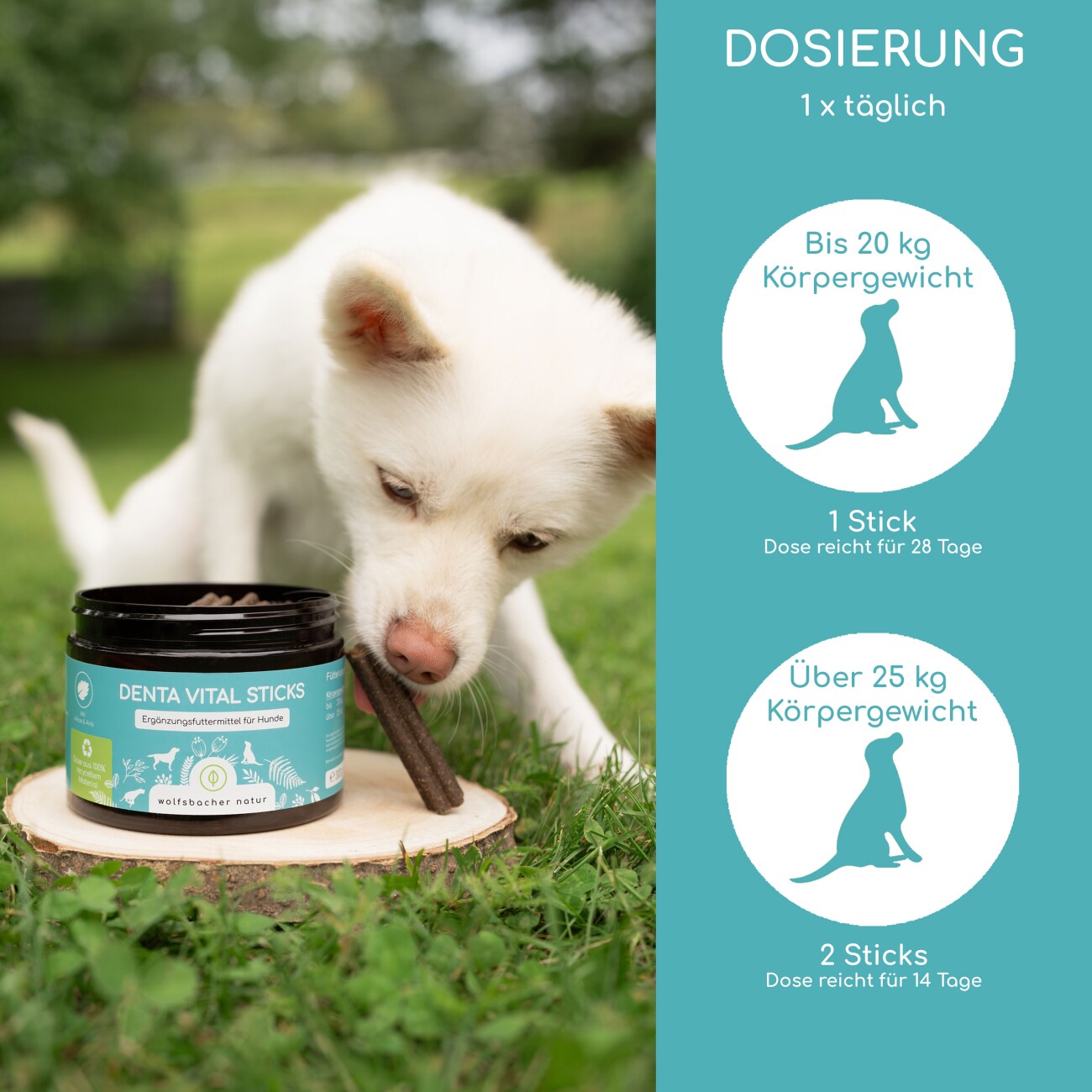 Wolfsbacher Natur Zahnpflege Leckerli 2x