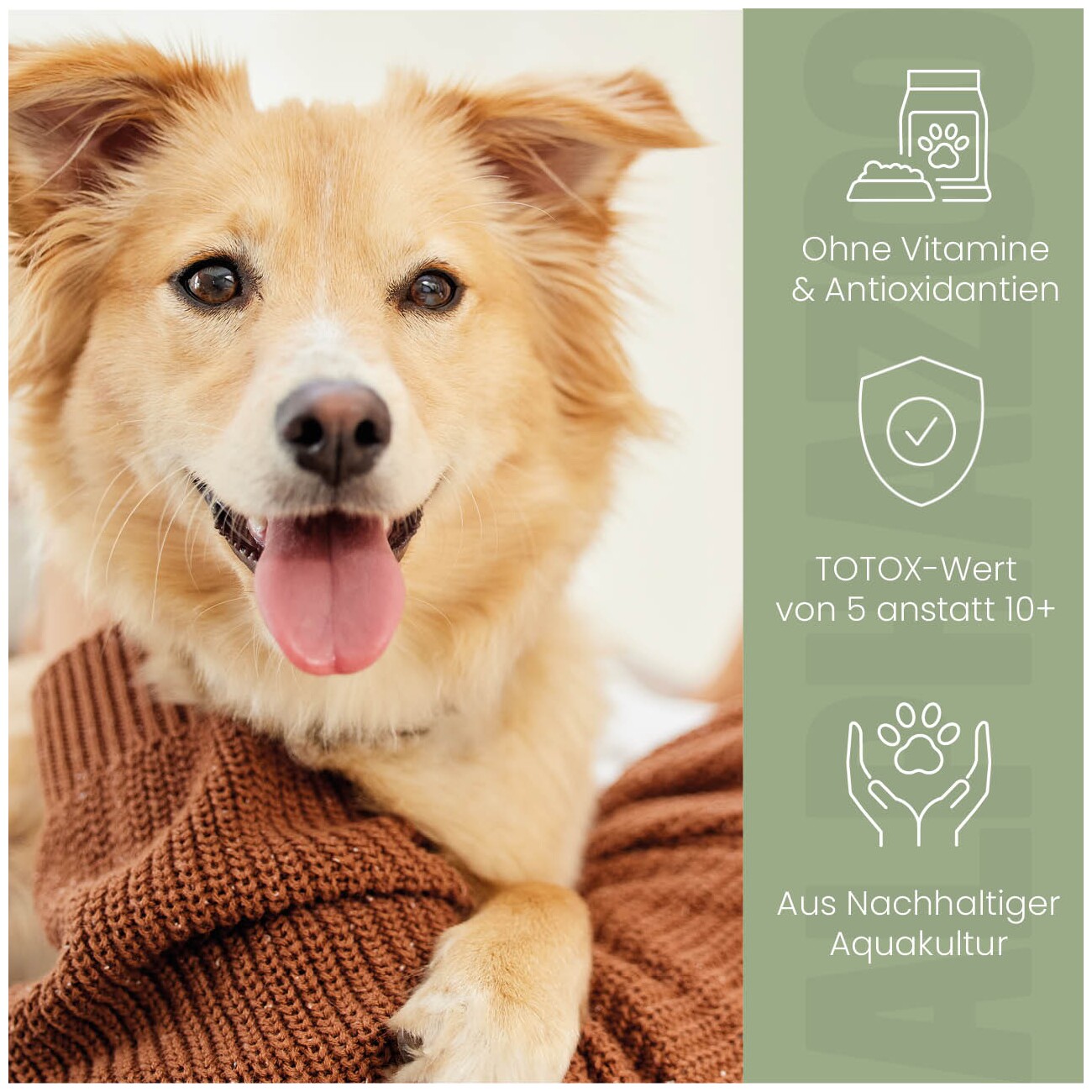 ALPHAZOO Premium Lachsöl für Hunde I Natürliches Omega-3 Fischöl
