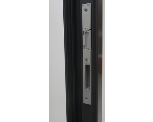 Aluminium voordeur Oregon wit 1100 x 2100 mm rechts