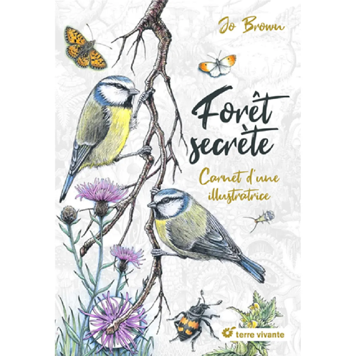 Forêt secrète : carnet d'une illustratrice