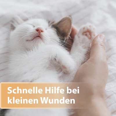 Felisept Katze Pflege Wundspray 75ml