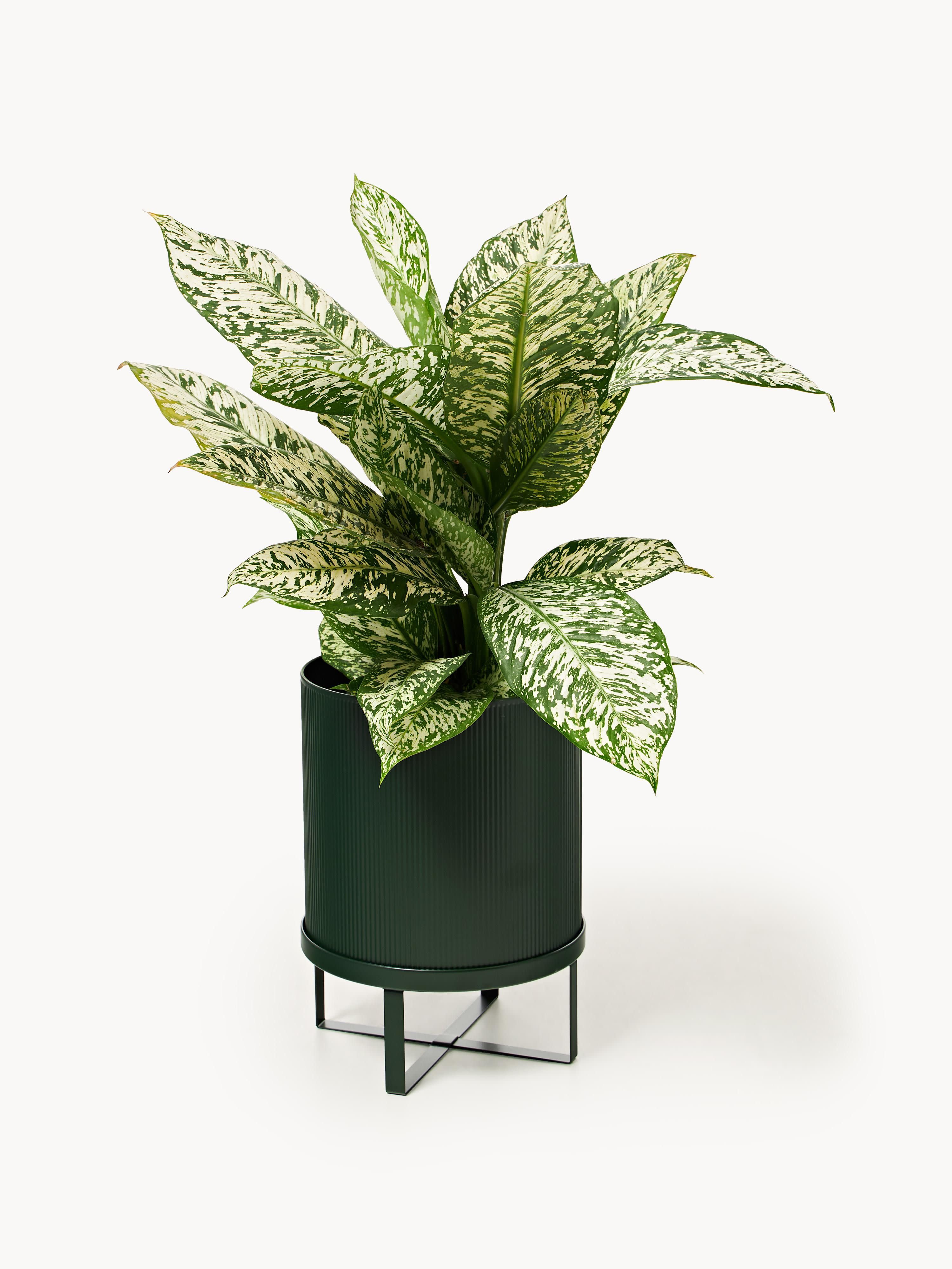Bloempot Bau met gegroefd oppervlak, H 38 cm