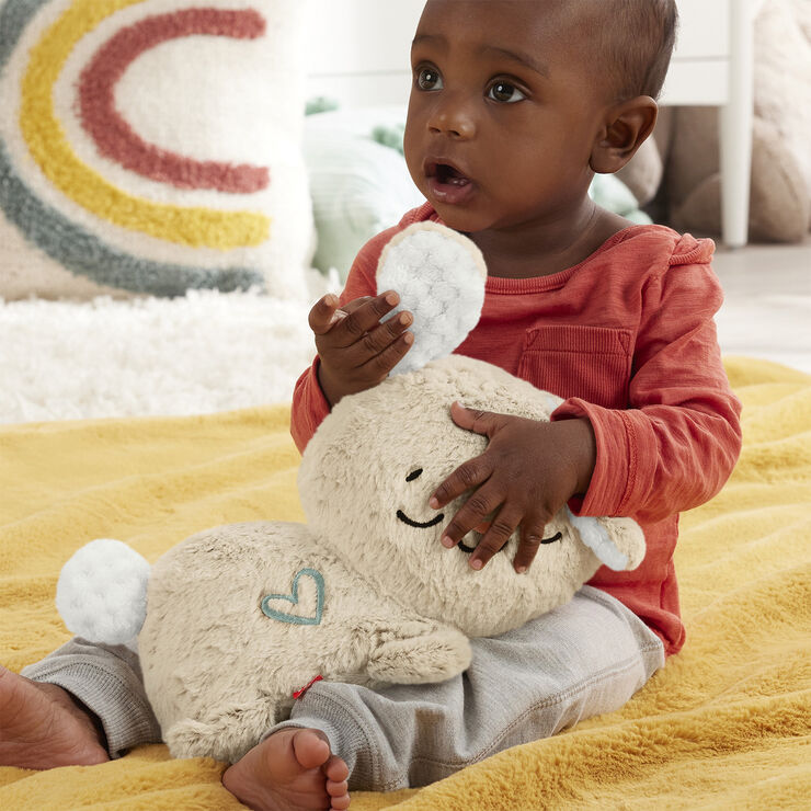 Fisher Price Fisher Price Sensimals Be