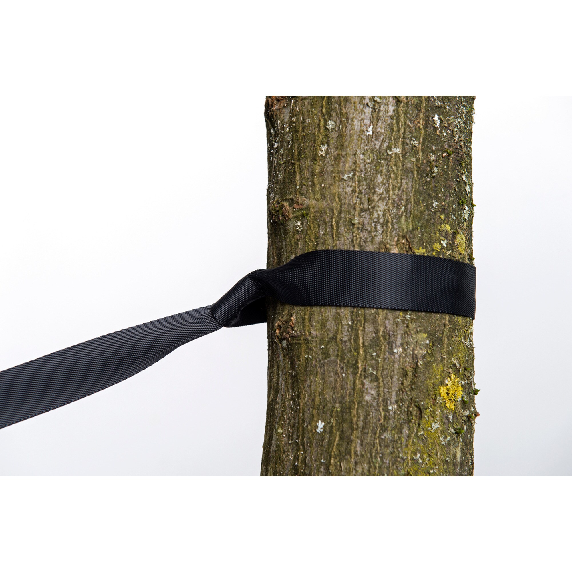 Amazonas Halterung 2-in-1 Treehugger