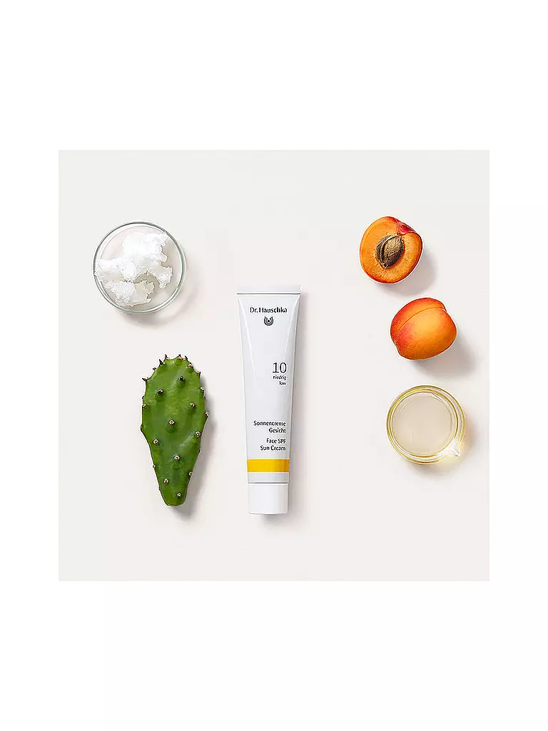 DR. HAUSCHKA Sonnenpflege - Sonnencreme Gesicht LSF 10 40ml keine Farbe