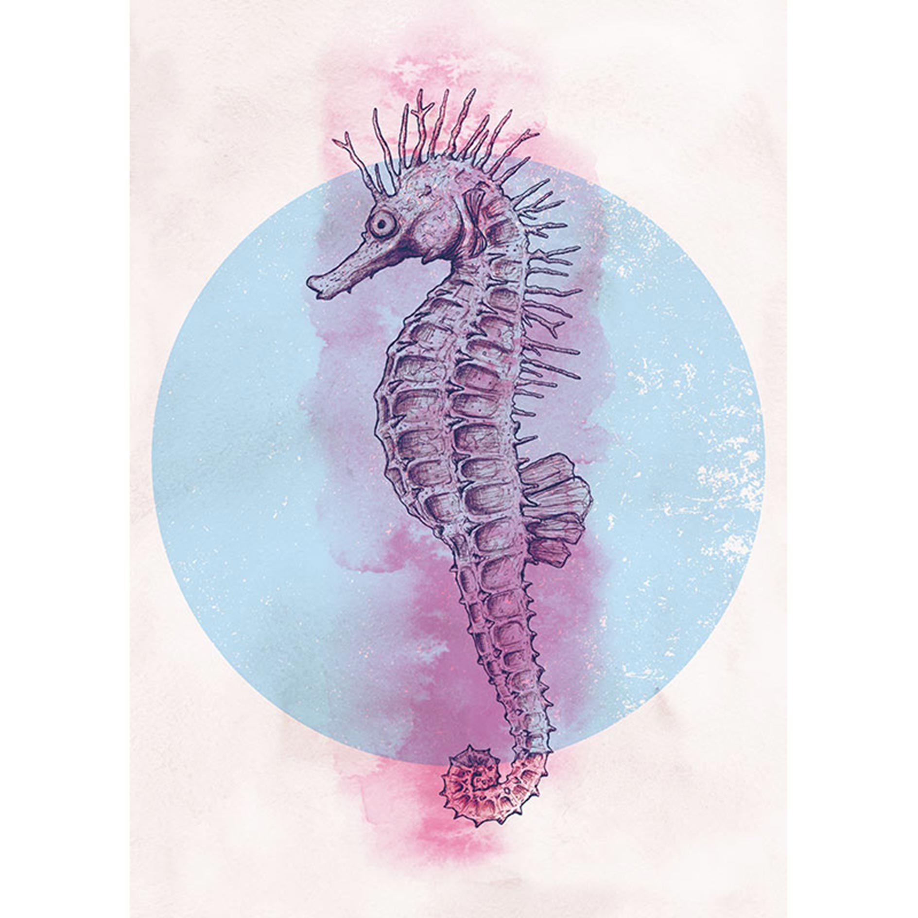 Wandbild SEA HORSE CIRCLE - 50x70 cm