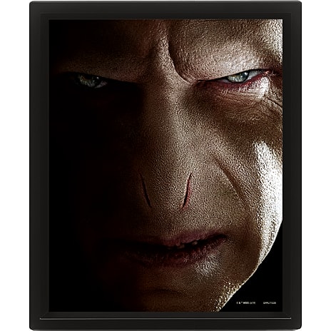3D billede Harry Potter vs. Voldemort