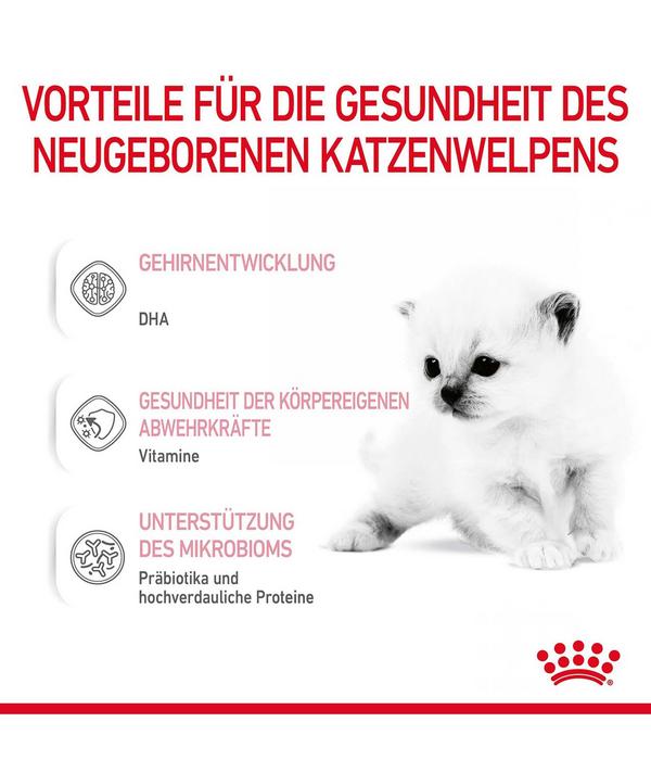 ROYAL CANIN® Babycat Milk, 300 g