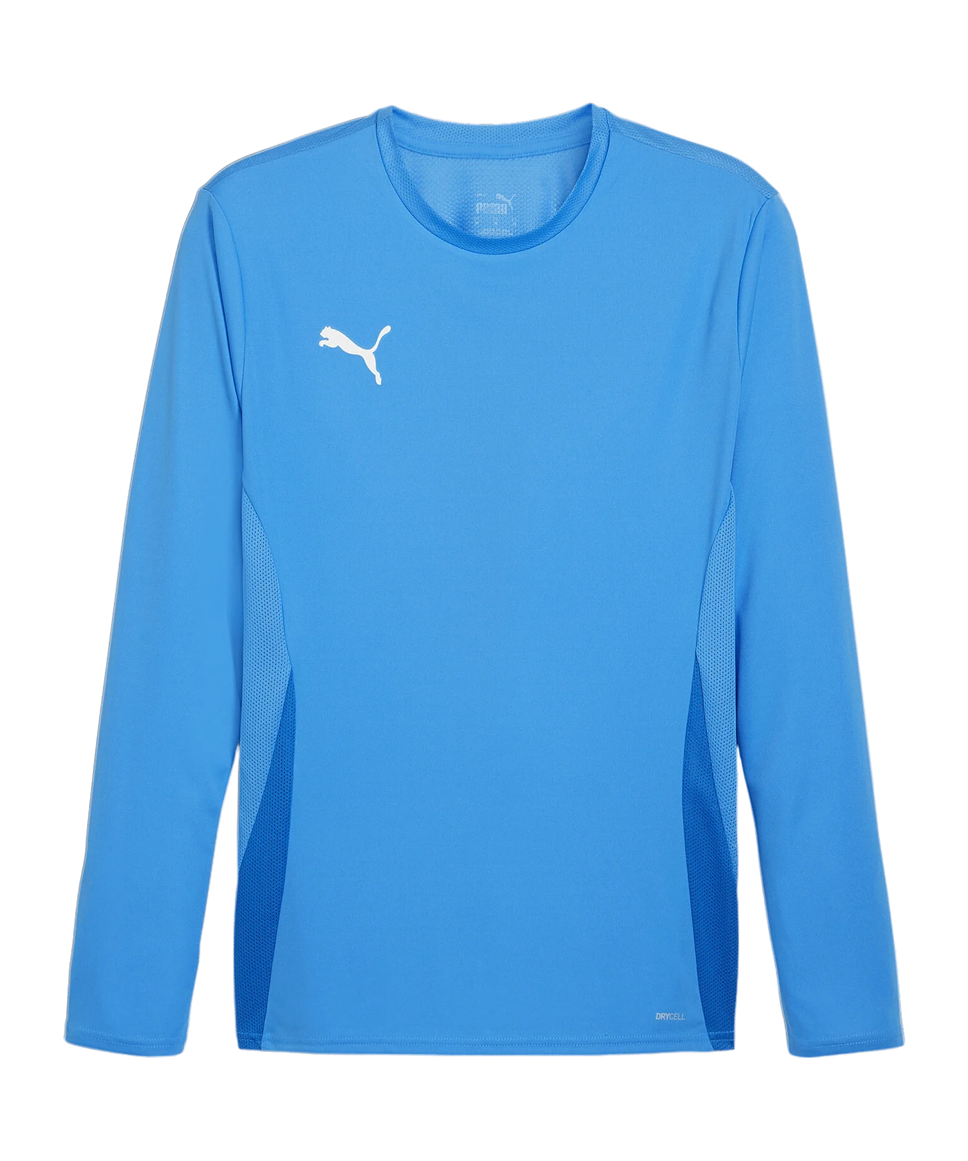 PUMA teamGOAL Trikot Langarm Blau Weiss F02