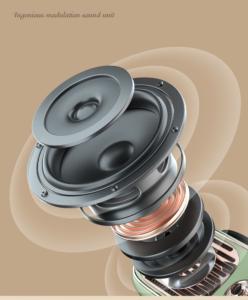 HOMTEC - USB oplaadbare Bluetooth-luidspreker met karaokemicrofoon