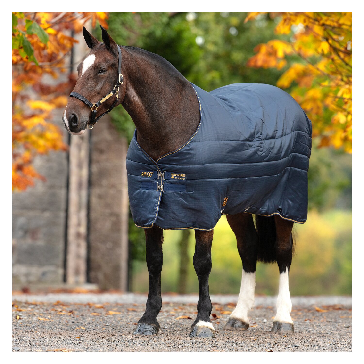 HORSEWARE Unterdecke XL-Liner 200 g - navy