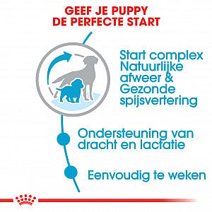 ROYAL CANIN® Medium Dog Starter 10-25Kg 12kg - Hondenvoer voor een middelgrote, drachtige of zogende teef en haar pups