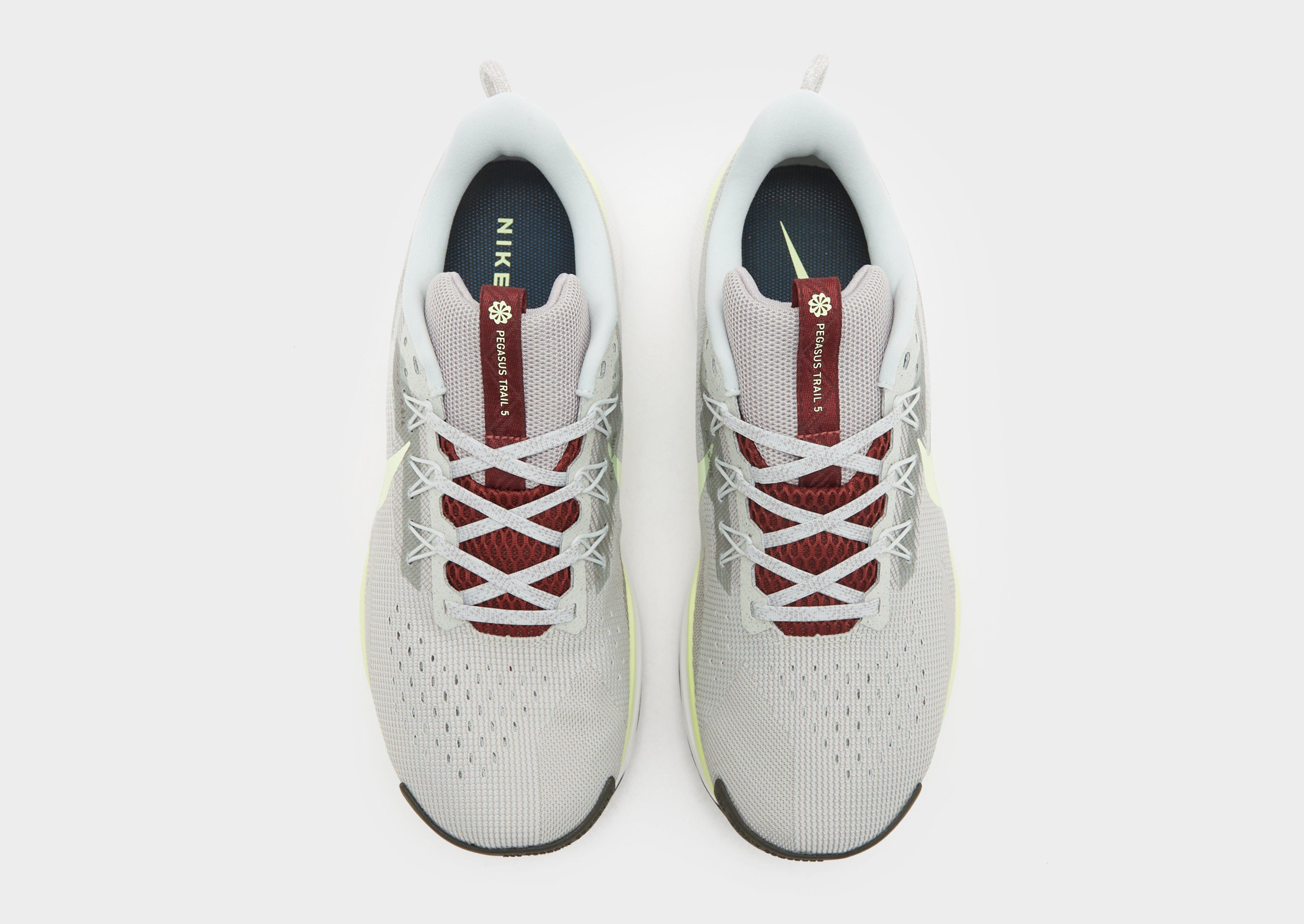 Nike Pegasus Trail 5 Homme