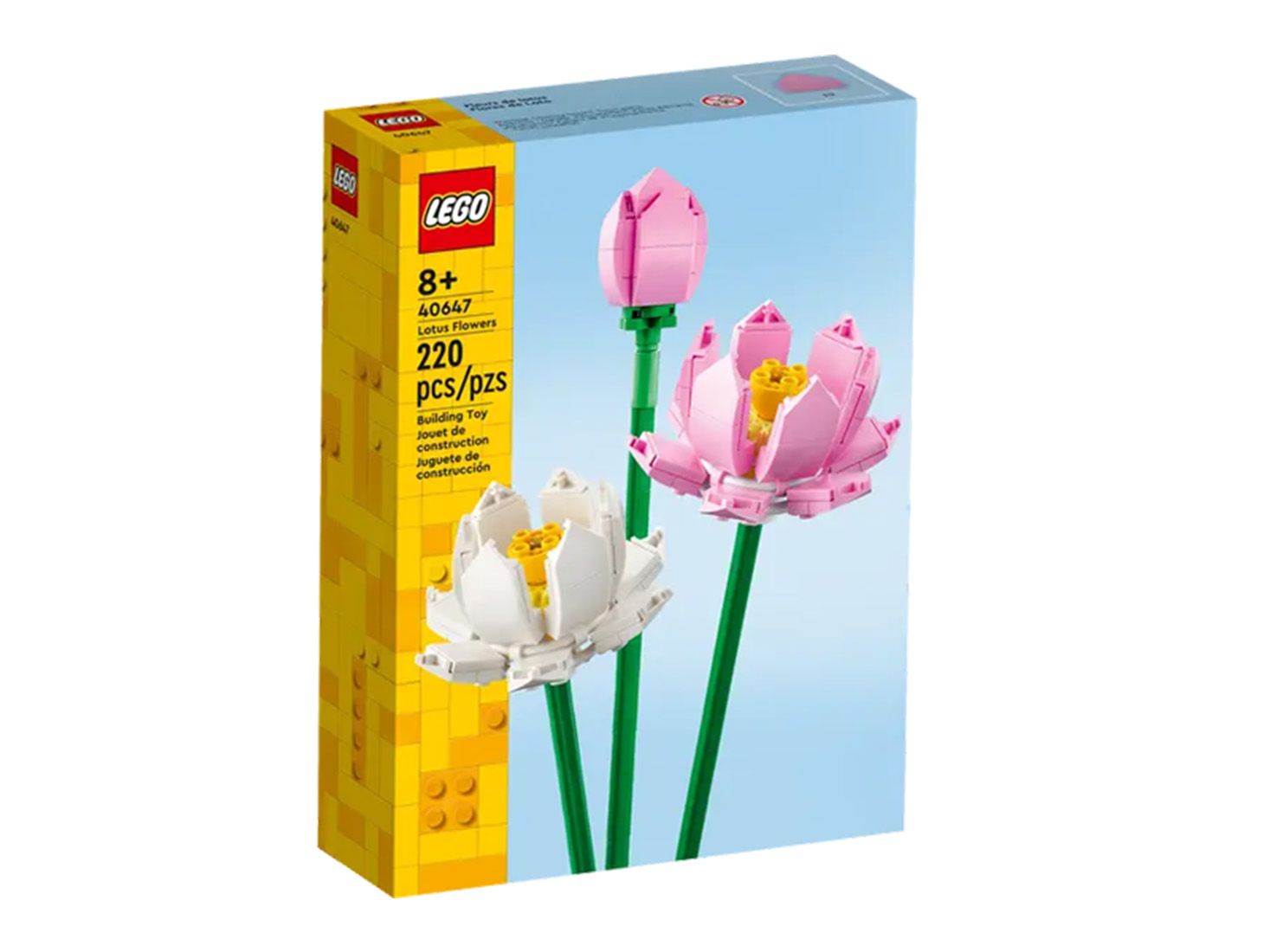 Lotus Flowers
