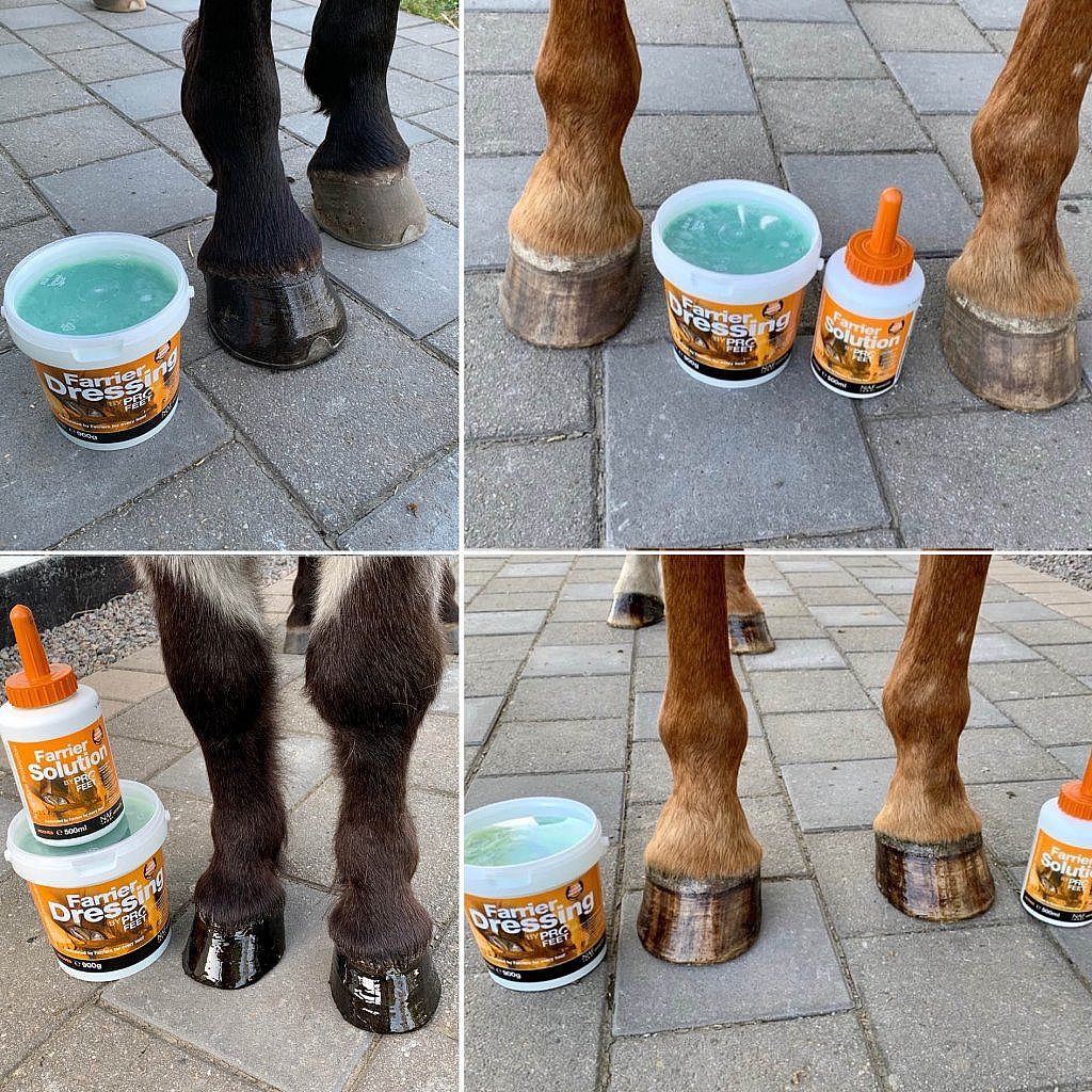 NAF Farrier Dressing – Voor gezonde, elastische hoeven met natuurlijke verzorging