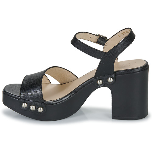 Wonders - L-1016-WILD - Noir
