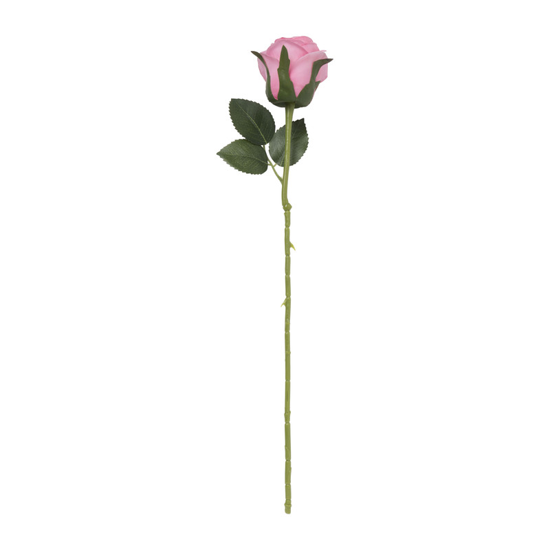 Roos - diverse varianten - 50 cm