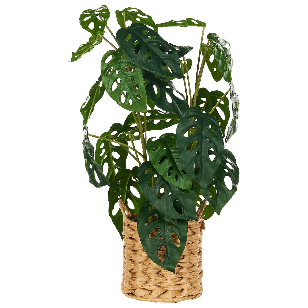 BELIANI MONSTERA ADANSONII 53 cm - Vert