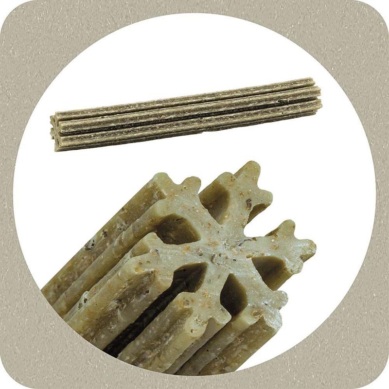 Ferplast Snowflake Ascophillum Nodosum