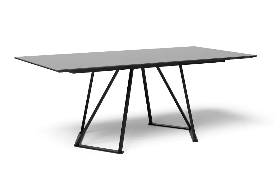 Esstisch Swing (5552) 220 x 100 cm