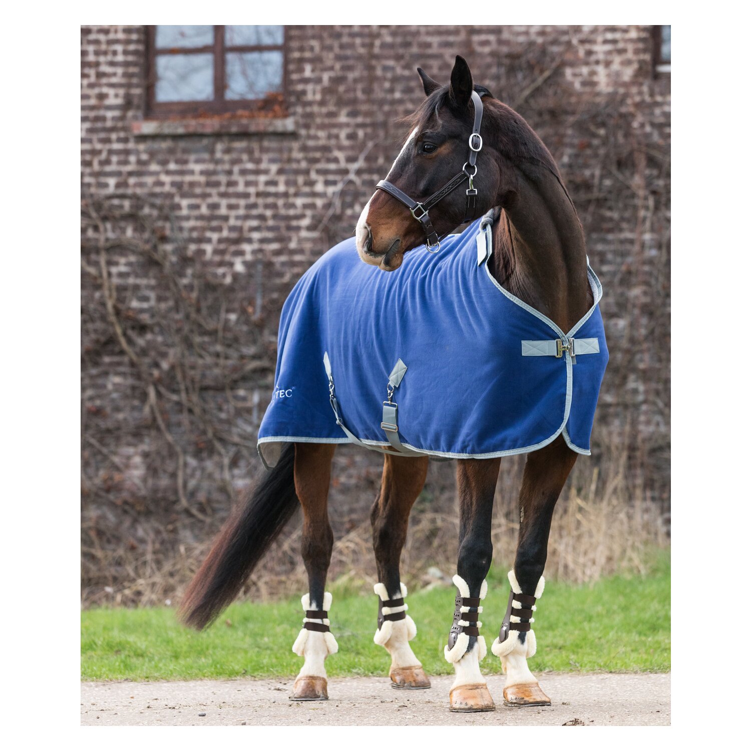EQUINE-MICROTEC Abschwitzdecke Flanell Touch - twilight blue