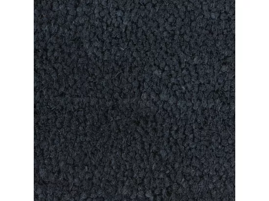 Tapis de porte gris foncé 90x150 cm fibre de coco touffeté