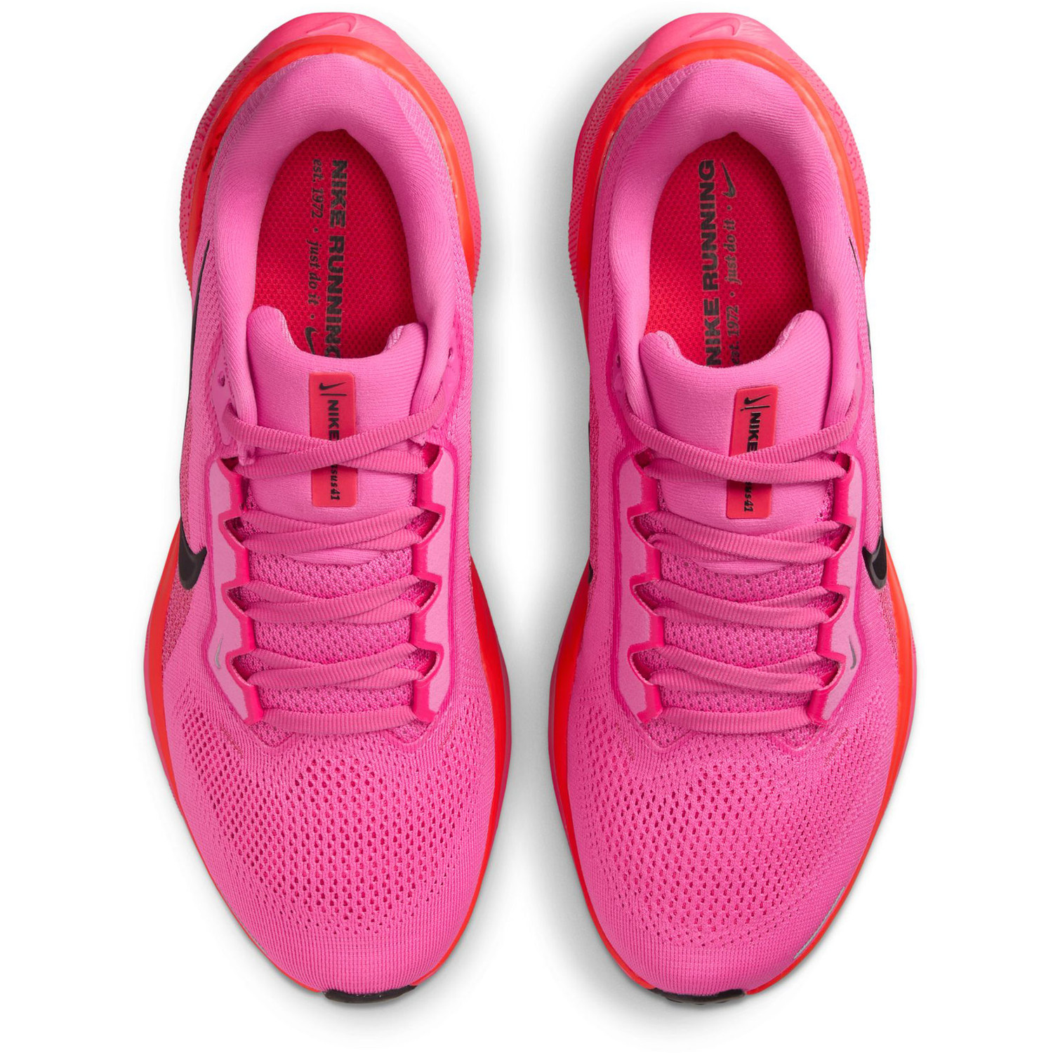Nike Pegasus 41 Dames
