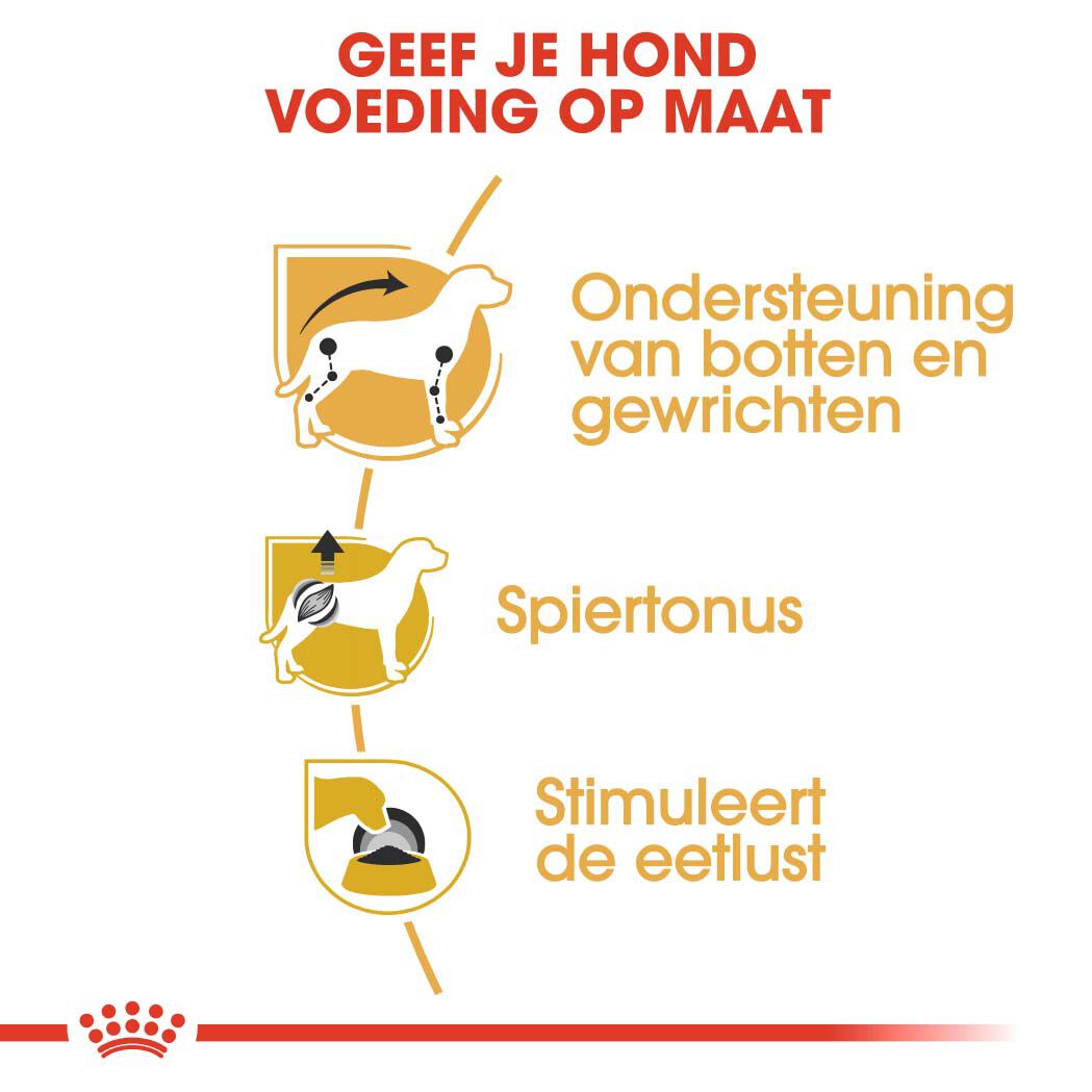 Royal Canin Dachshund Adult Pouch - Hondenvoer - 1020 Gram - gevogelte