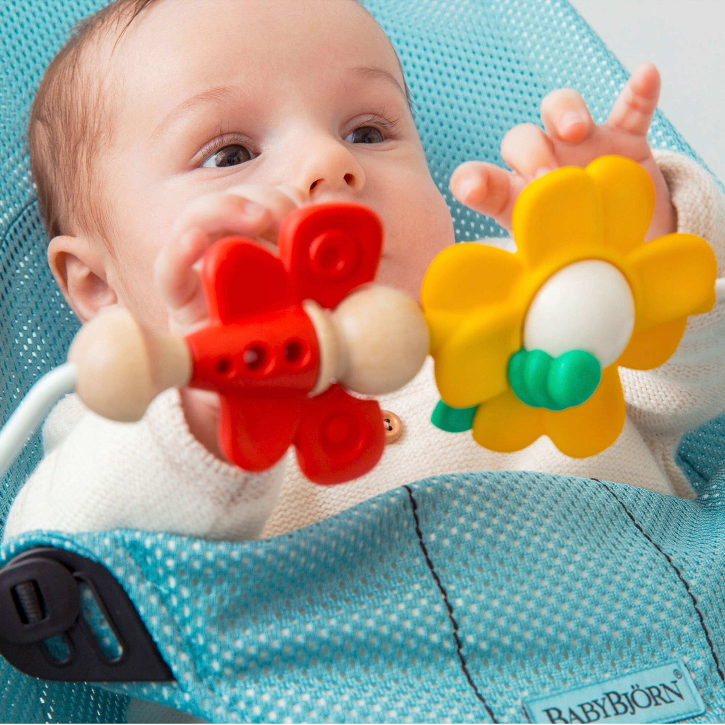 BabyBjörn Spielzeug für Babywippe