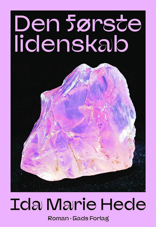 Den Første Lidenskab - Ida Marie Hede - Bog