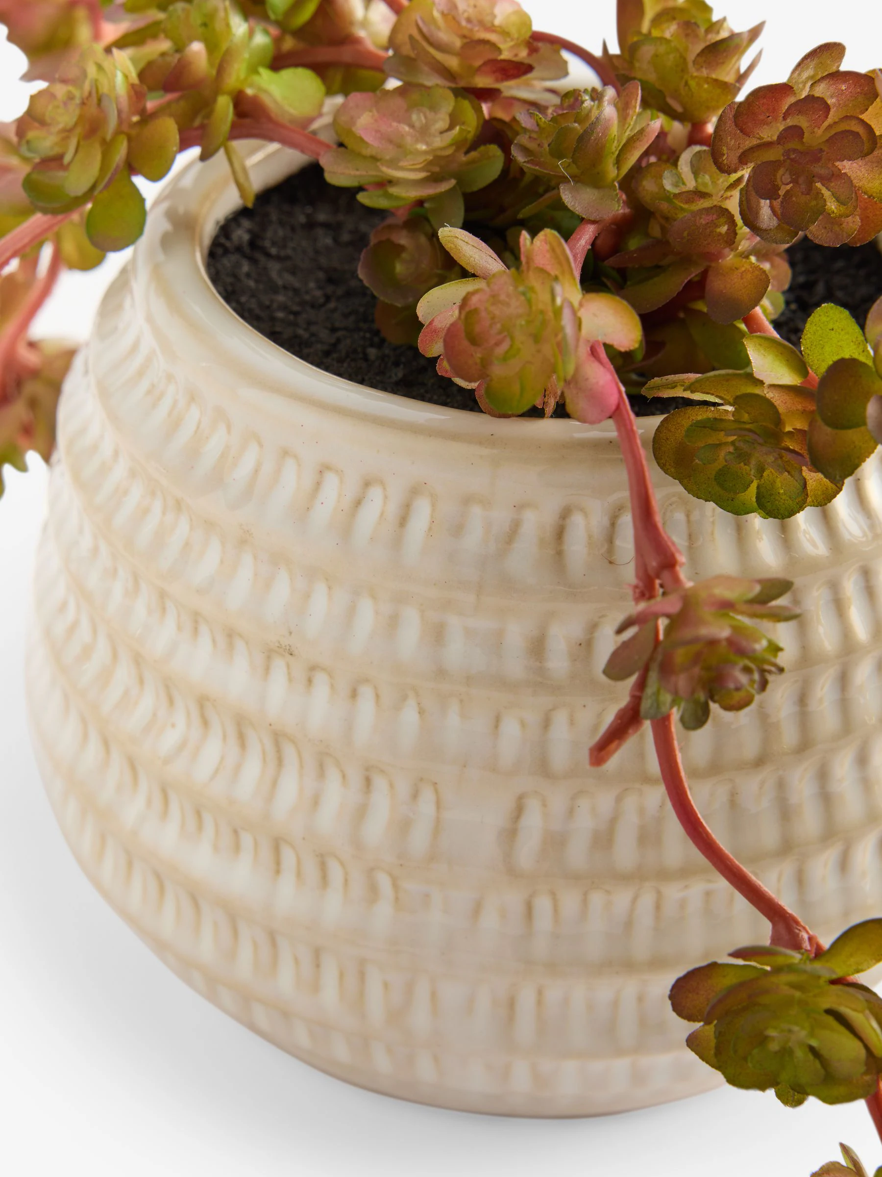 Artificial Trailing Succulent in Ceramic Pot