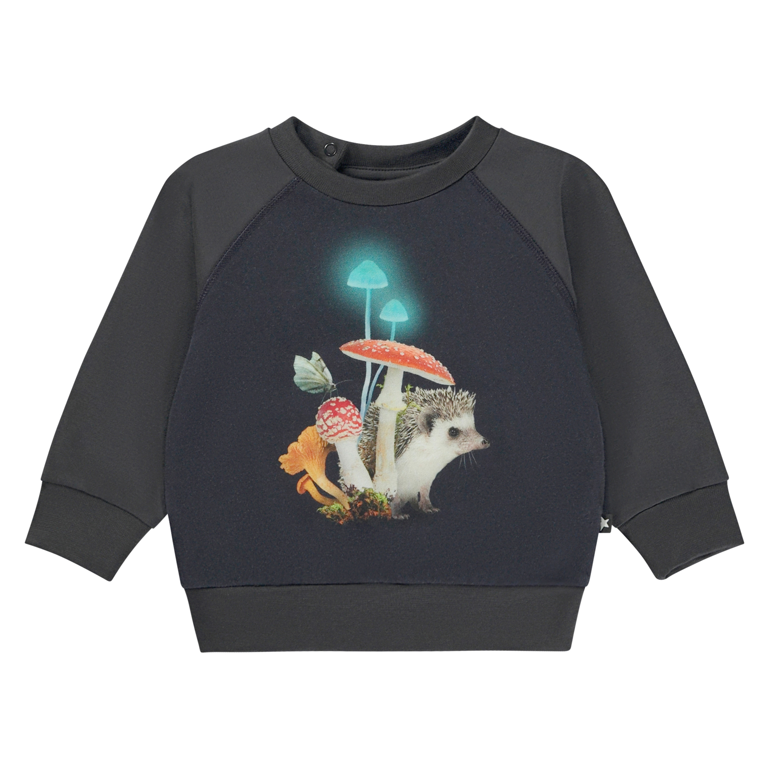 Elsa - Fungi Group