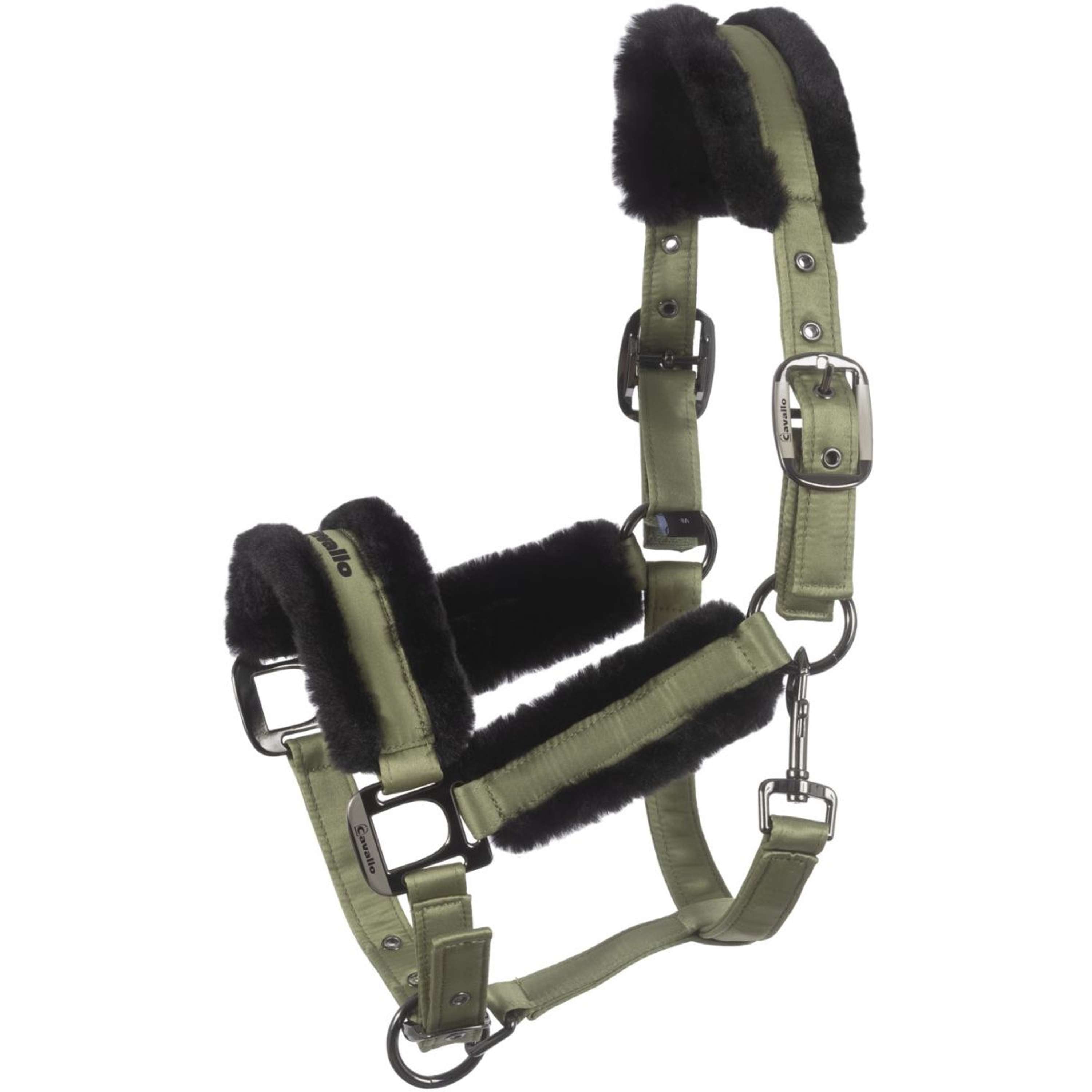 Cavallo Halster Cavaljero Tea Leaf