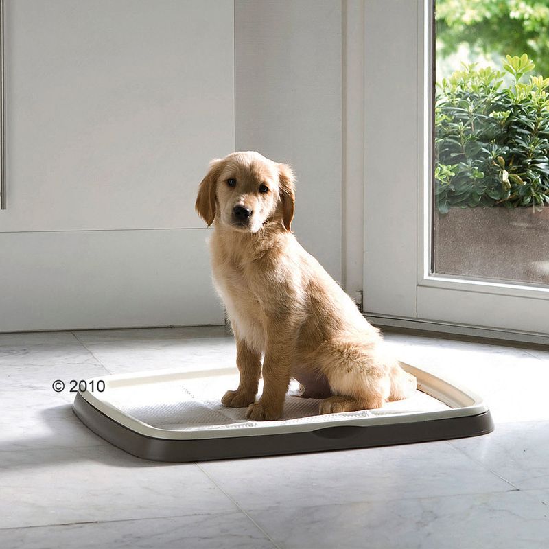 Toilettes Savic Puppy Trainer pour chiot