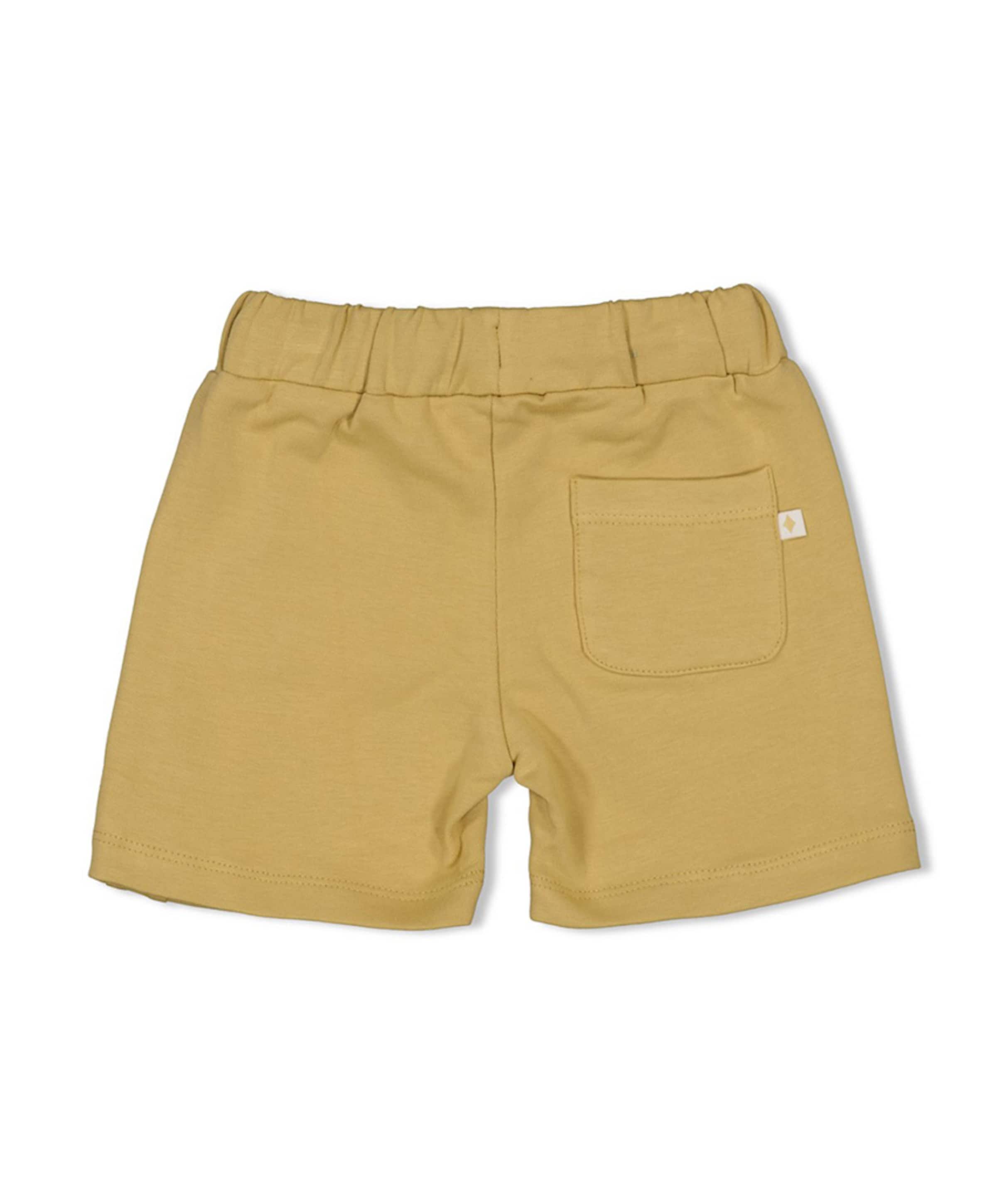 Feetje Meisjes korte broek geel