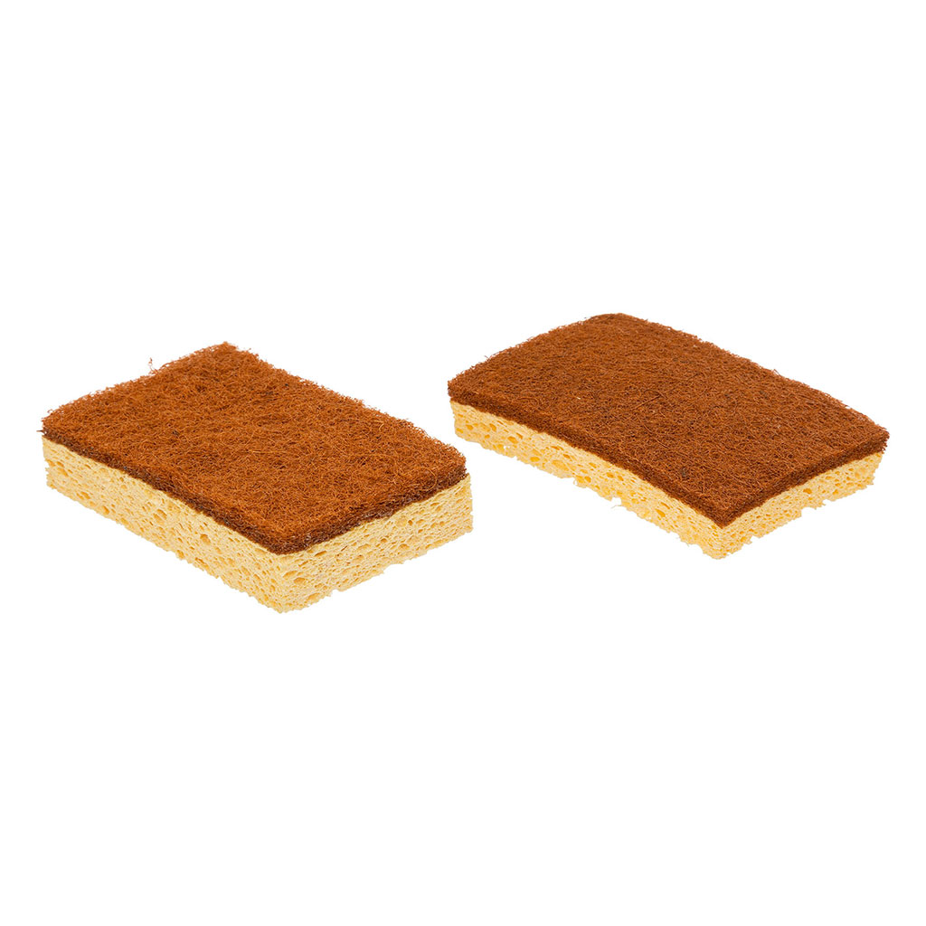 Lot de 2 éponges coco BLACKWOOD