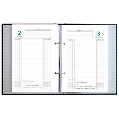 Recharge d'agenda Perpétuel de caisse - 1 jour par page - 16 x 24 cm - feuilles mobiles 2 trous - Exacompta