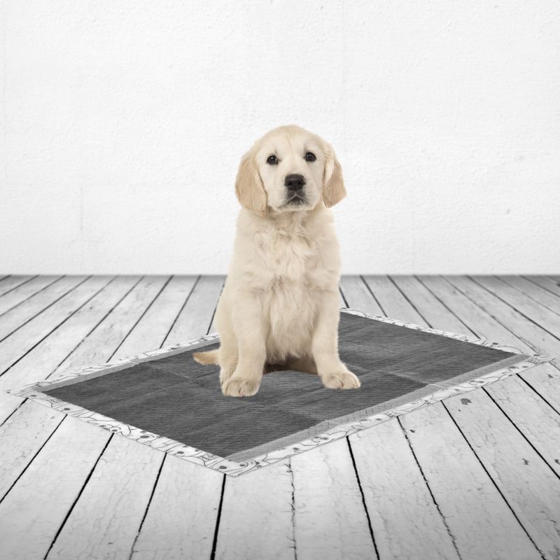 Tapis absorbants Savic Puppy Trainer avec charbon actif pour chiot