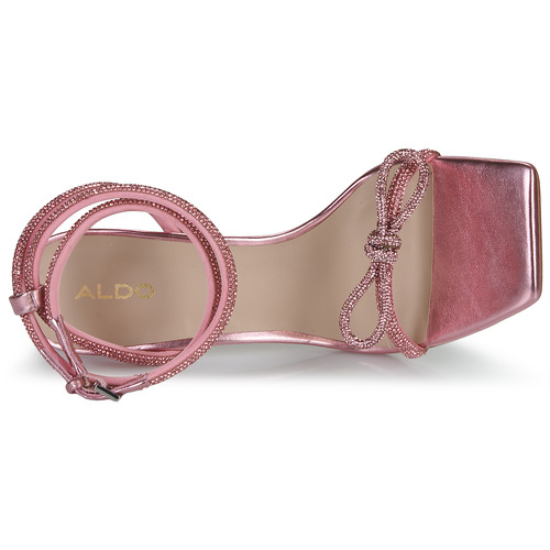 Aldo - BARRONA - Rose