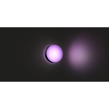 Philips Hue muurlamp Daylo zwart - wit en gekleurd licht 15W