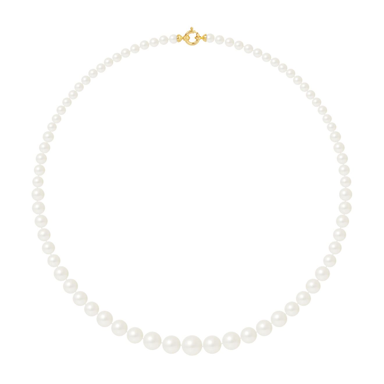 Mitzuko Collier Rang Or Jaune Perles d'Eau Douce blanches