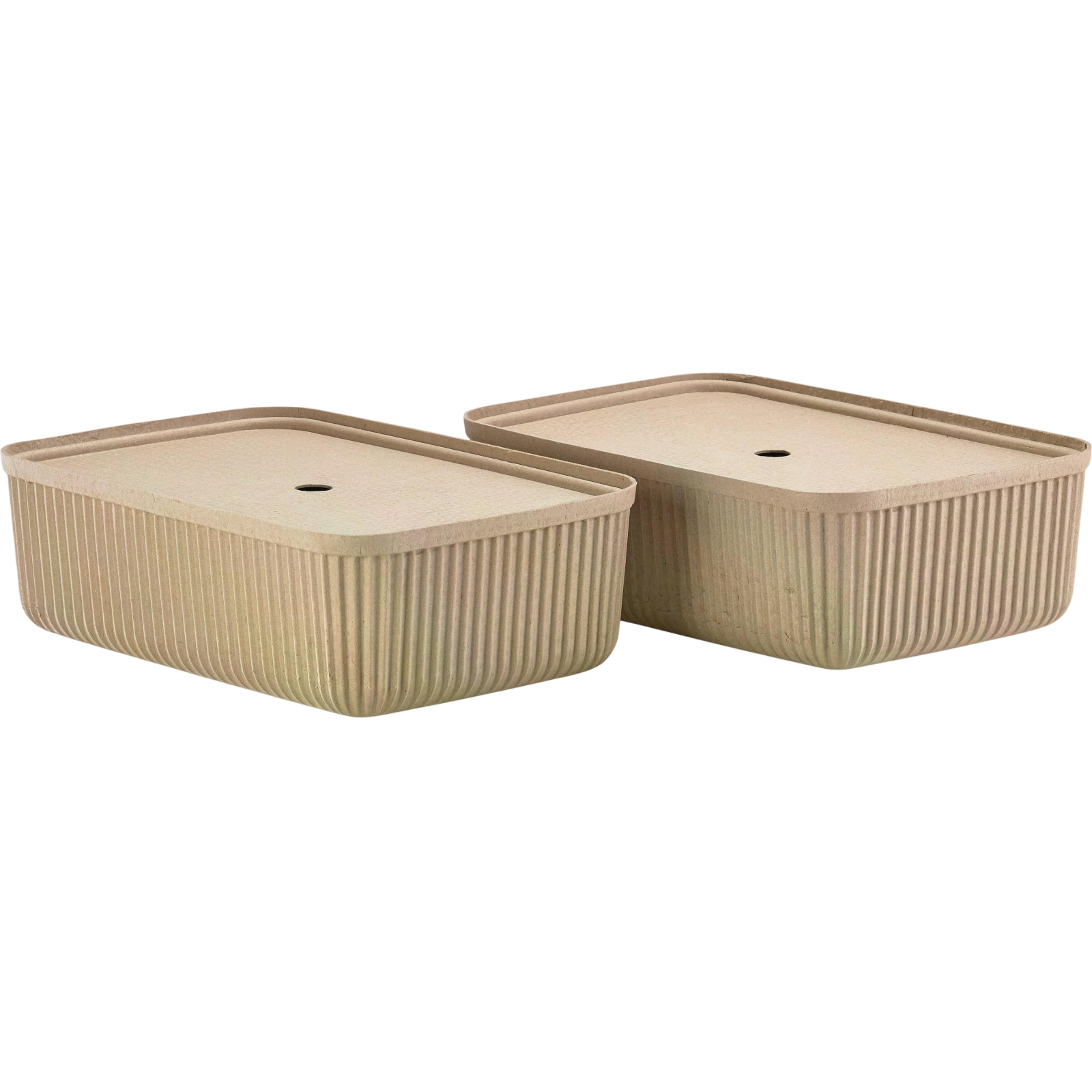 Aufbewahrungsbox Pulp L 2 Stück, Beige