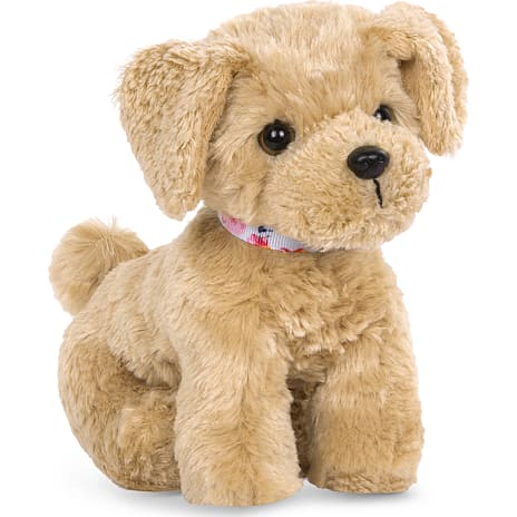 Our generation Goldendoodle hvalp