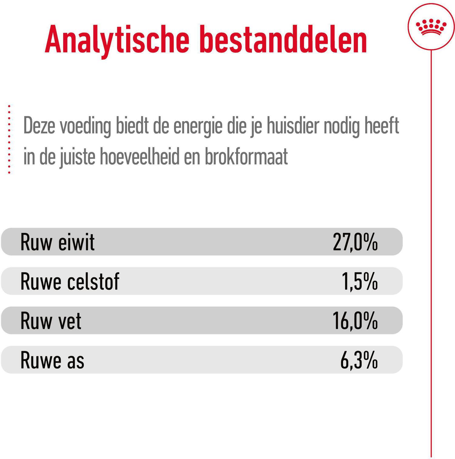 Royal Canin hondenvoer Mini adult 8+ 2 kg