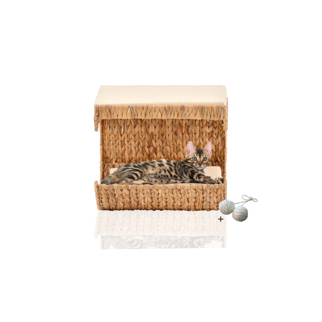 Rohrschneider ® Katzen Liegemulde Cäsar für Wandmontage, Kletterwand-Element mit Gratis-Spielballset