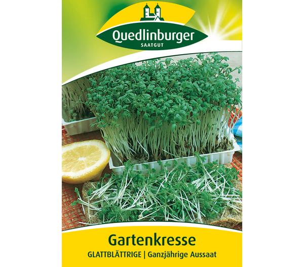 Quedlinburger Samen Gartenkresse