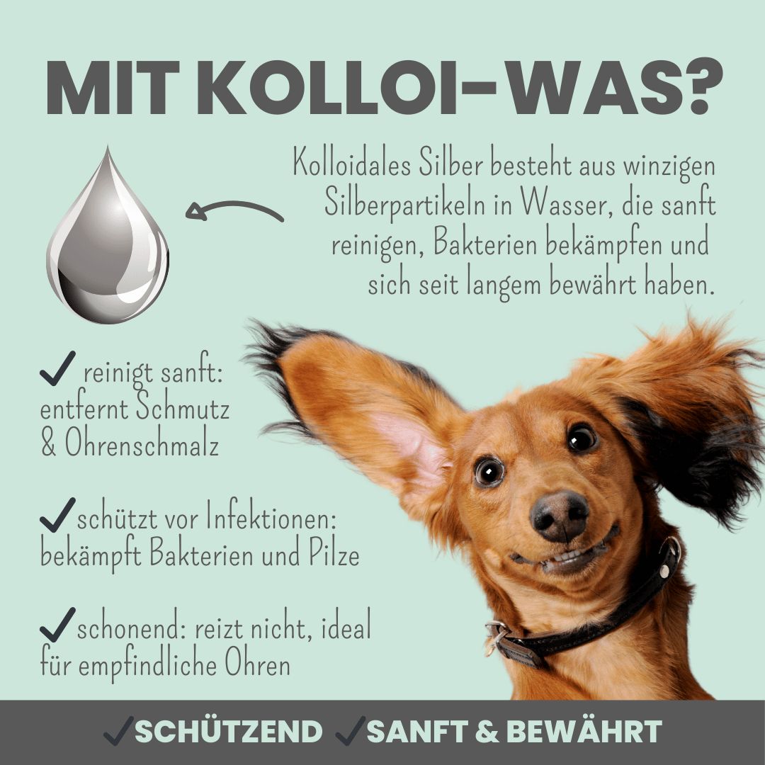 noms+ 2-in-1 Ohrfein Reinigung & Pflege mit kolloidalem Silber für Hunde & Katzen