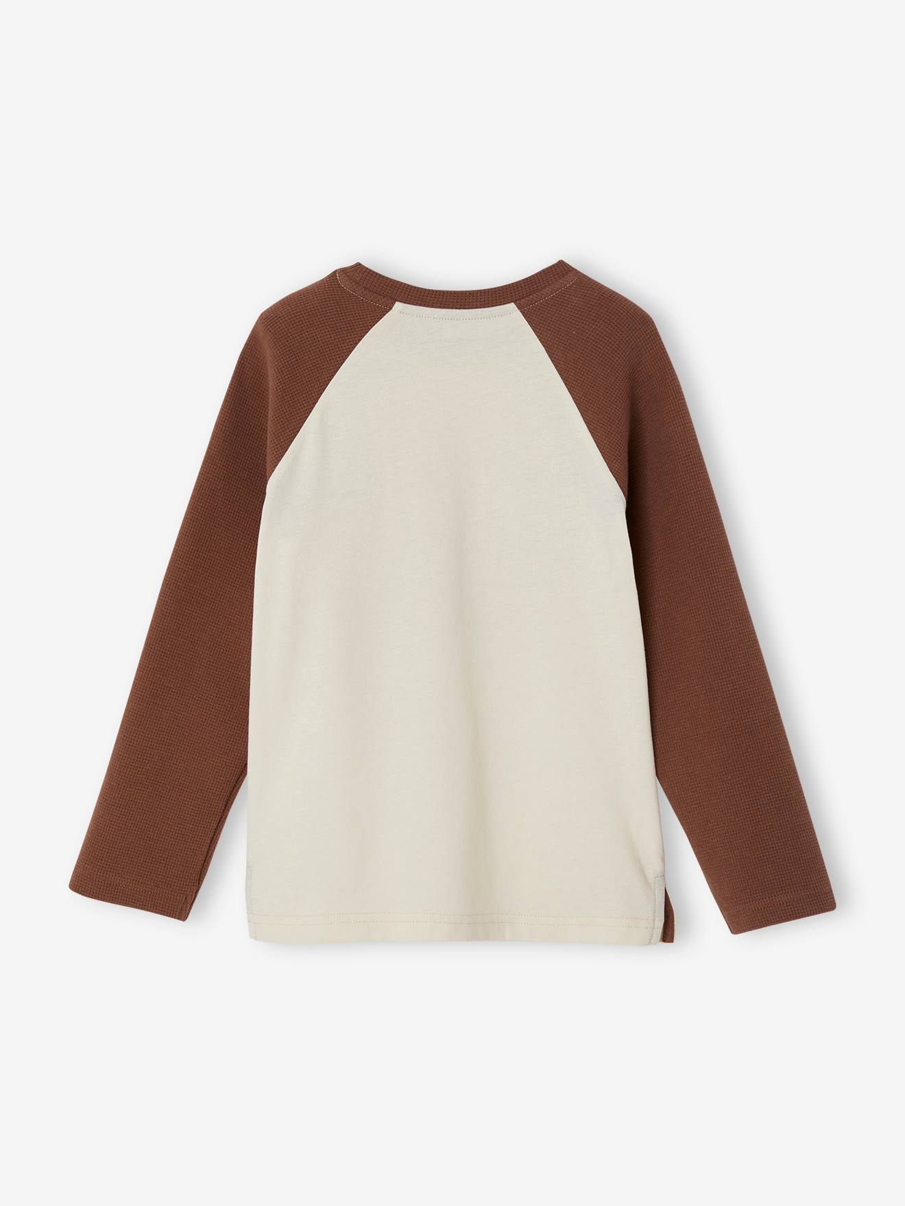 Camiseta infantil masculina em malha favo de mel com mangas raglan compridas e estampa de carro, na cor mocha.